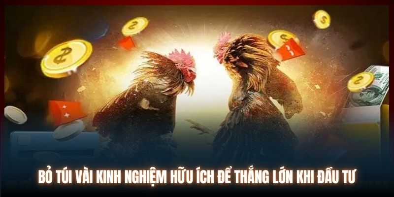 Bỏ túi vài kinh nghiệm hữu ích để thắng lớn khi đầu tư