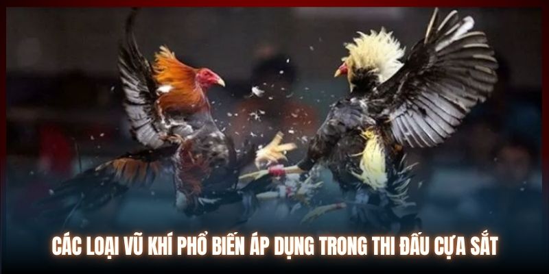 Các loại vũ khí phổ biến áp dụng trong thi đấu cựa sắt