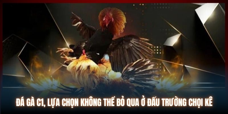 Đá gà C1, lựa chọn không thể bỏ qua ở đấu trường chọi kê