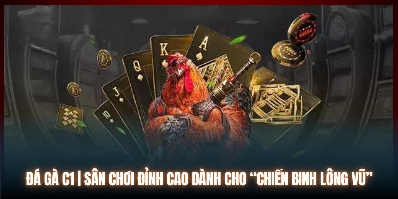 Đá Gà C1 | Sân Chơi Đỉnh Cao Dành Cho “Chiến Binh Lông Vũ”