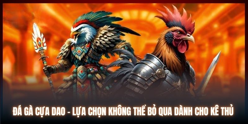 Đá Gà Cựa Dao | Lựa Chọn Không Thể Bỏ Qua Dành Cho Kê Thủ