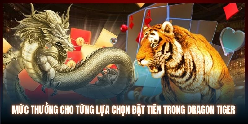 Mức thưởng cho từng lựa chọn đặt tiền trong Dragon Tiger